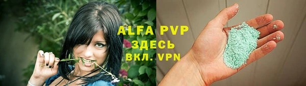 амф Белокуриха